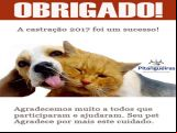 381de3d43cefb790e74496f62a3df245.jpg
